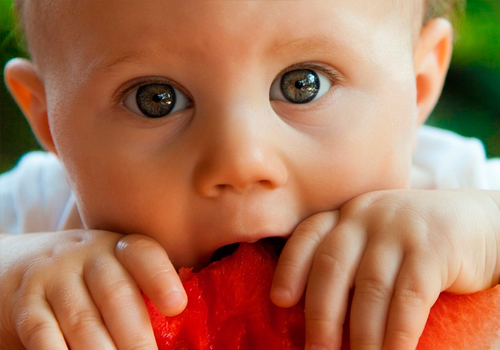 Introducción de alimentos a bebes
