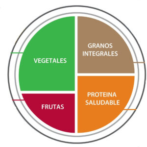 Imagen para Crítica al Plato de Harvard (mi opinión)