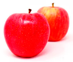 Dietética y Nutrición