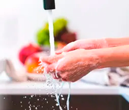 Manipulación de Alimentos