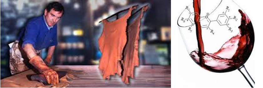 Importancia del tacto en gastronomia. Sensaciones táctiles o somáticas