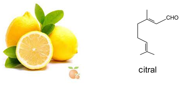 La ciencia detrás de los olores y aromas