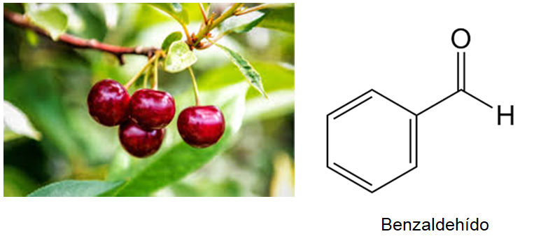 La ciencia detrás de los olores y aromas