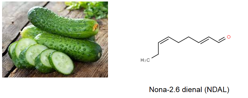 La ciencia detrás de los olores y aromas
