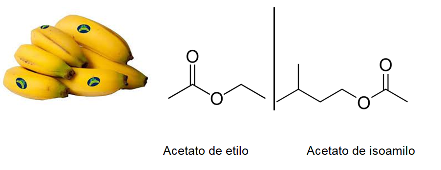 La ciencia detrás de los olores y aromas