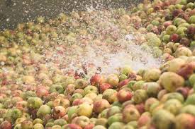 Las burbujas de la sidra