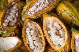 El chocolate. Un placer saludable si no se abusa.