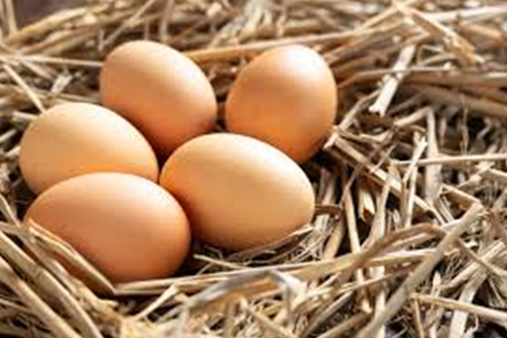 Los huevos, uno de los alimentos más nutritivos