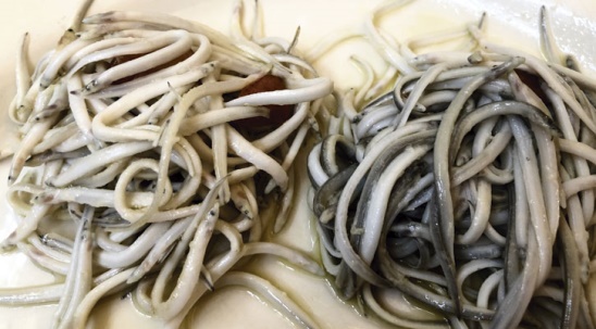 Las angulas, el caviar del mar con forma de fideos