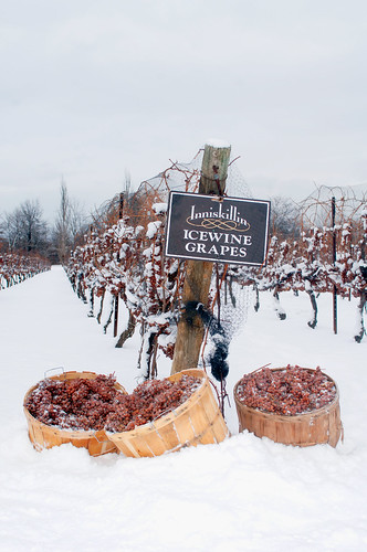 Vino de hielo  Icewine