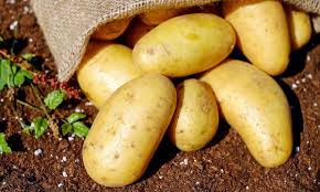 Variedades de patatas. Usos, curiosidades y nombres