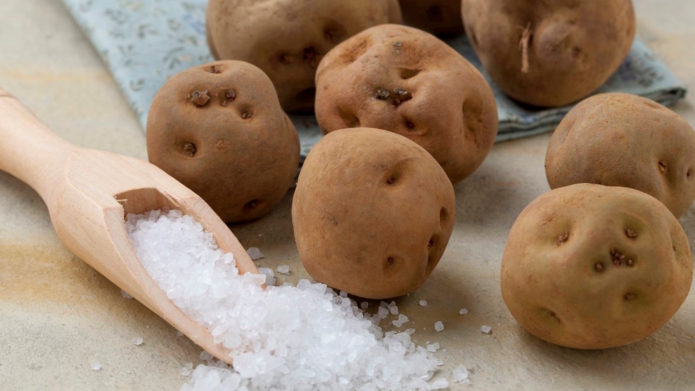 Variedades de patatas. Usos, curiosidades y nombres