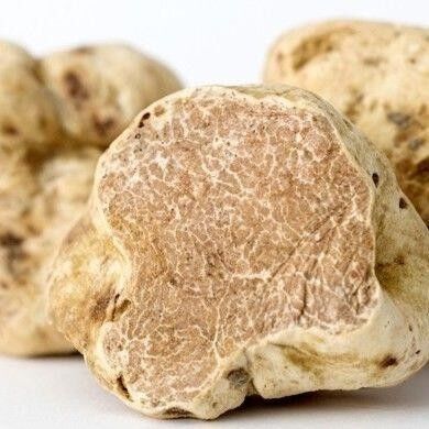 La trufa. El diamante negro de la cocina
