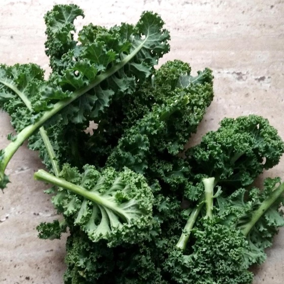 Las coles sin cabeza, acephalas. Berzas y kale