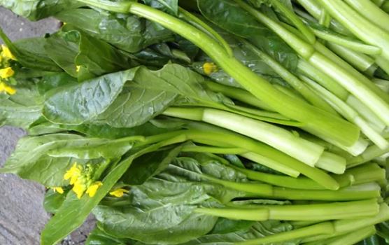 Las coles de pella coliflor y brócoli