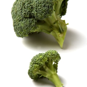 Las coles de pella coliflor y brócoli