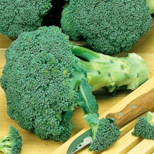 Las coles de pella coliflor y brócoli