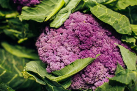 Las coles de pella coliflor y brócoli