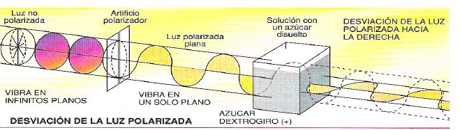 Los diamantes del vino