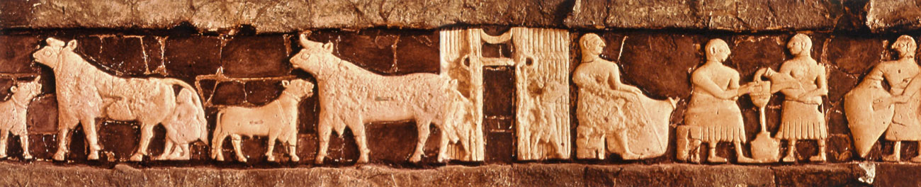 La mantequilla. Explorando su historia, mitos y propiedades