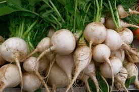 Descubriendo curiosidades, beneficios y propiedades de los nabos