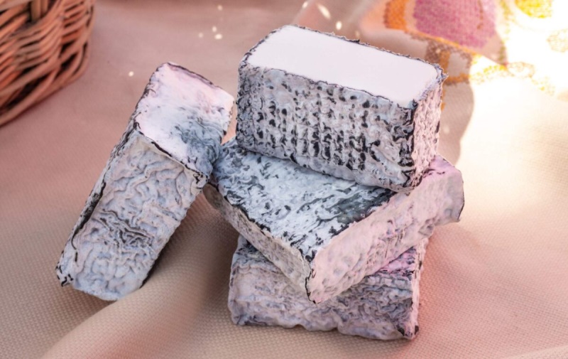 Las bacterias lacticas y el sabor de los quesos