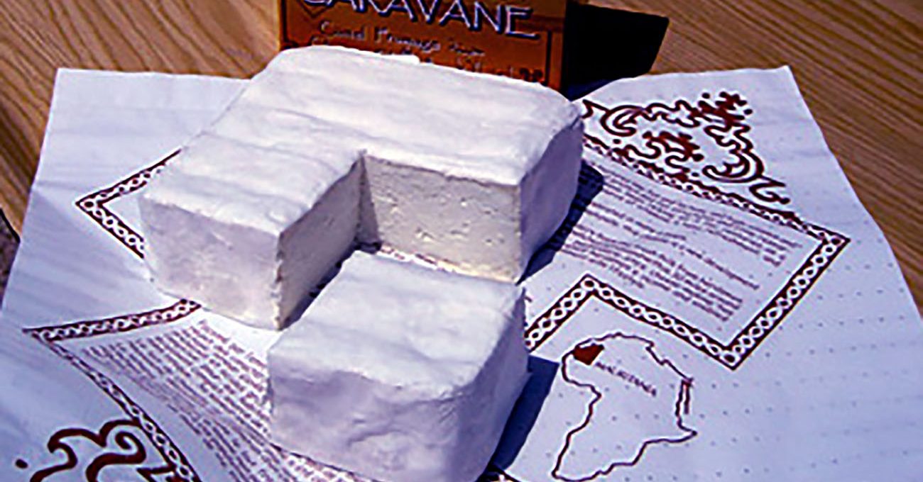 Queso de camella. Un queso dificil de elaborar